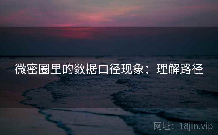 微密圈里的数据口径现象：理解路径