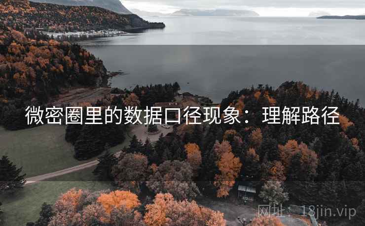 微密圈里的数据口径现象：理解路径
