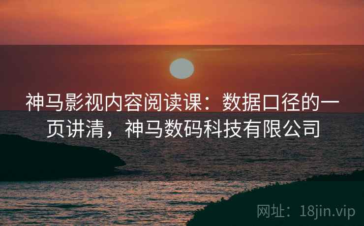 神马影视内容阅读课：数据口径的一页讲清，神马数码科技有限公司